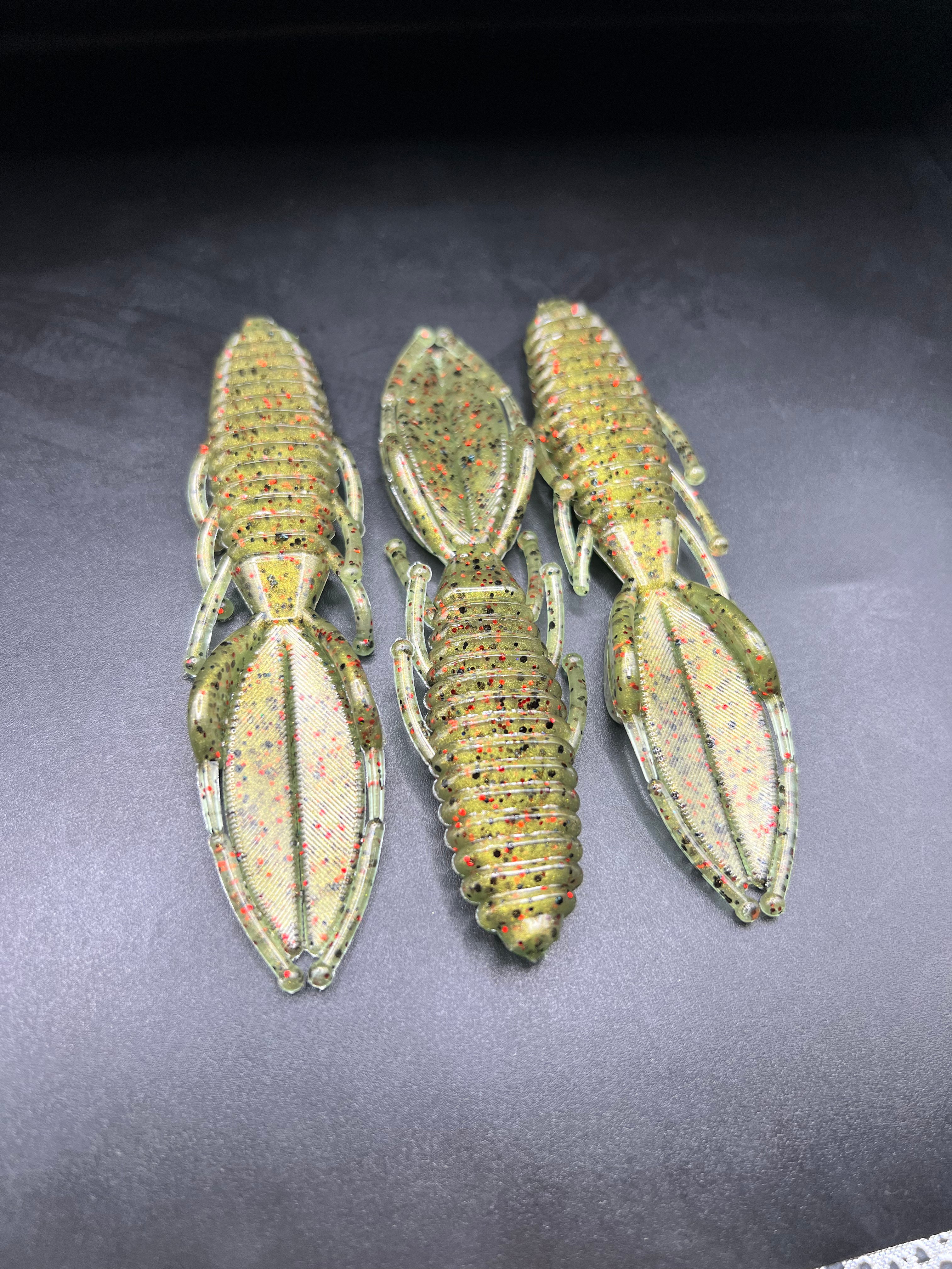 Melon Bug